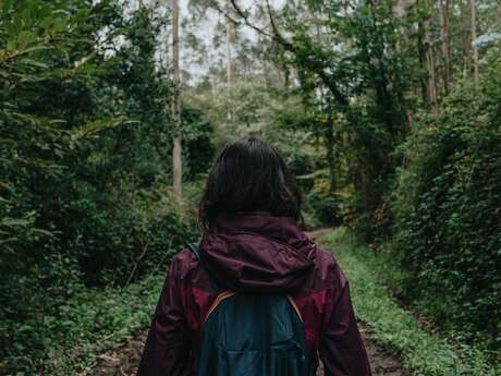 Marche au profit du téléthon