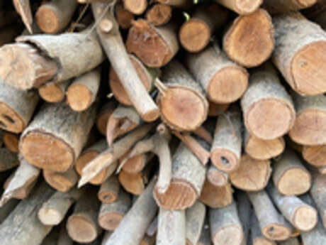 Scierie Borelli