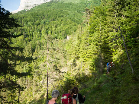 Rando’Piano | Randonnée en forêt et concert