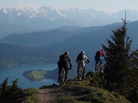 Alpes In Bike