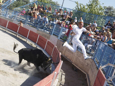 Course Camarguaise - Trident d'or