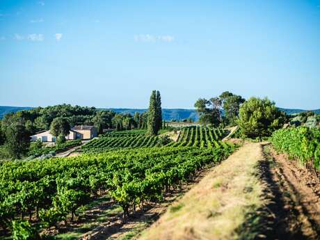 Domaine La Réméjeanne