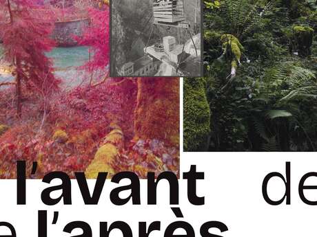 Inauguration de l'exposition L'avant de l'après