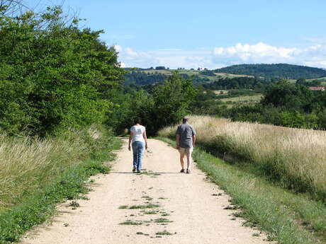 Aventuur treinspoor : wandelroute - paard-en mountainbike