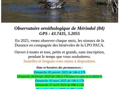 Observation des Oiseaux de la Durance à l'observatoire ornithologique de Mérindol