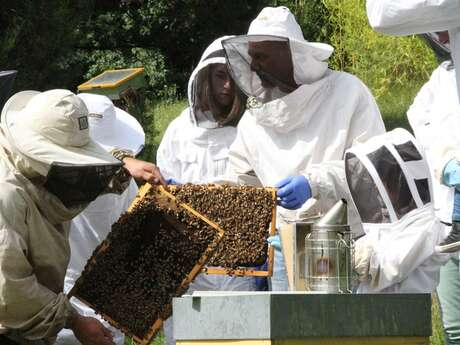 Le Fruit des Abeilles