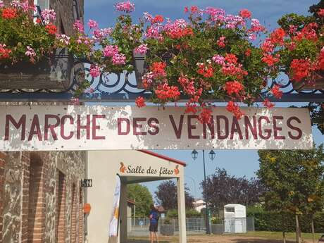 33ème marche des vendanges