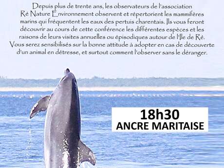 Conférence sur les mammifères marins