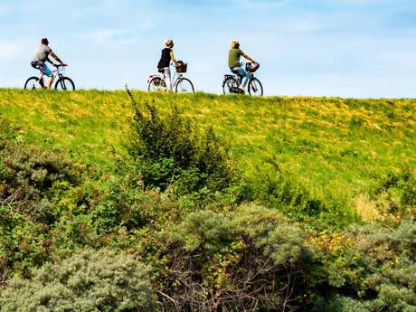 Balade VTT électrique : visites et dégustation