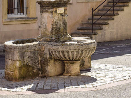 La fontaine des Minimes