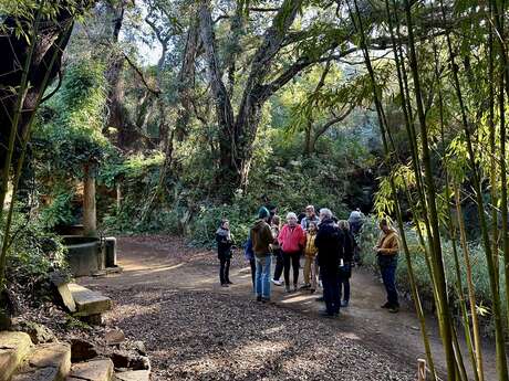 Visite thématique "Balade botanique au fil des saisons"