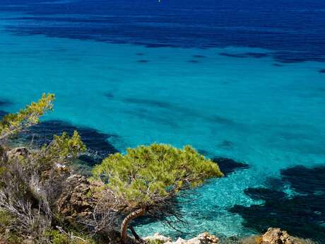 Journée de la mer : Méditerranée, un trésor à protéger
