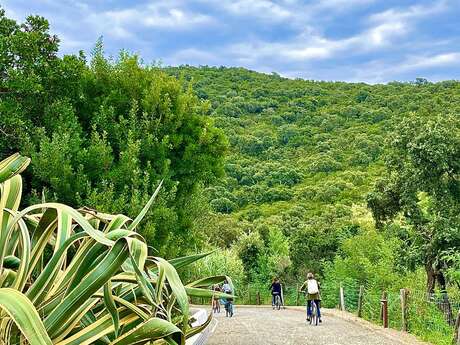 Journée Eco-Responsable : Nature Préservée et Culture Locale