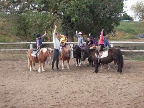 Poney Club de l'Étiage