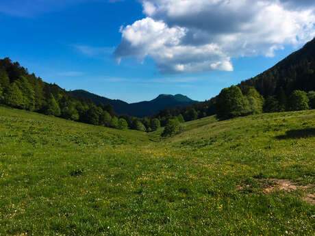 Parcours trail des Crêtes de Sur Lyand