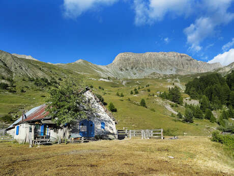 Cabane des mulets