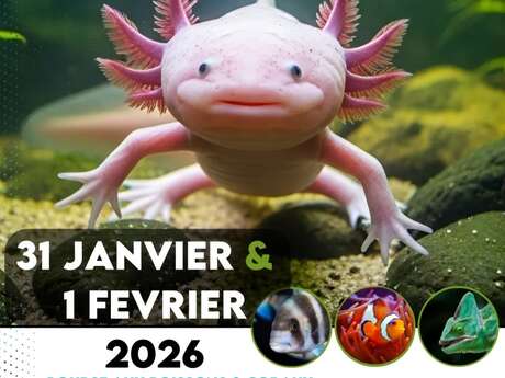 22ème Salon Azuréen de l'Aquariophilie de la terrariophilie 2026 22ème Salon Azuréen de l'Aquariophilie de la terrariophilie 2026