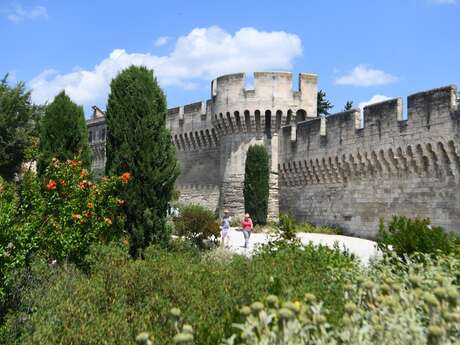 Cycle de visites guidées Avignon extra-muros
