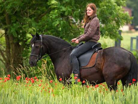 Les pierres d'antan - circuit équestre