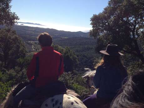 Découverte des Maures par Maraval