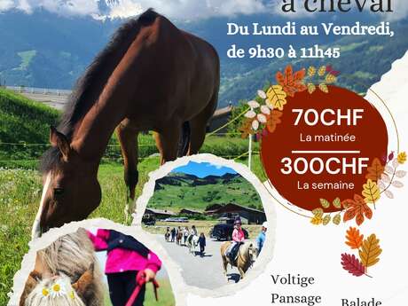Stage d’équitation d’automne