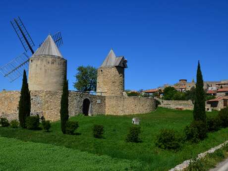 The Pelenc forest from Régusse