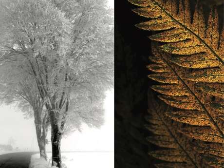 Expo photo C.Fabre / J. J Cornillon