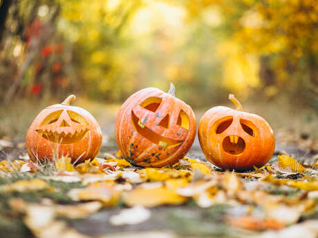 Le Jardin Ensorcelé - Halloween