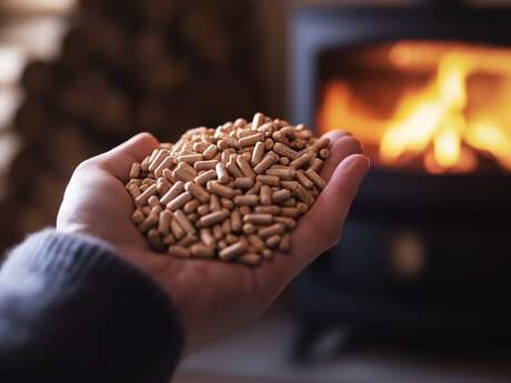 Atelier - Bonnes pratiques chauffage bois granulés