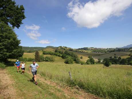 Le trail du Pic Noir