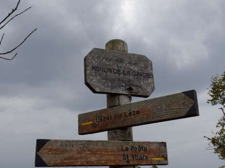 Le chemin de l'âne gris