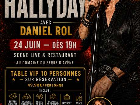 Soirée Dîner Concert Johnny