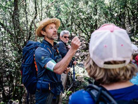 Randonner avec Chemins d'Azur