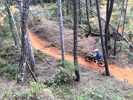 MTB no.51 - Between ochre, vines, and forest