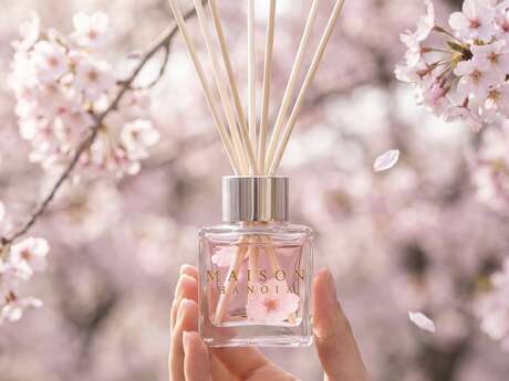 Maison Hanoja: Workshop zur Herstellung eines Duft- und Blumen-Raumduftspenders (50 ml)