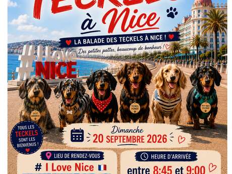 La balade des Teckels à Nice