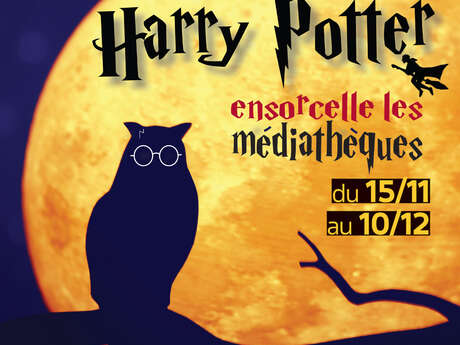 Years and retrogaming" games library