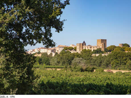 Itinéraire Gravel n°29 - Du pays d'Aigues au grand Luberon