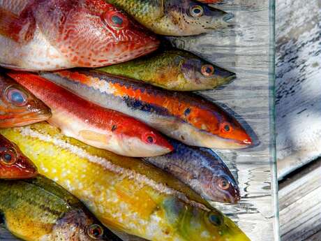 Marché aux poissons de Port-Saint-Louis-du-Rhône