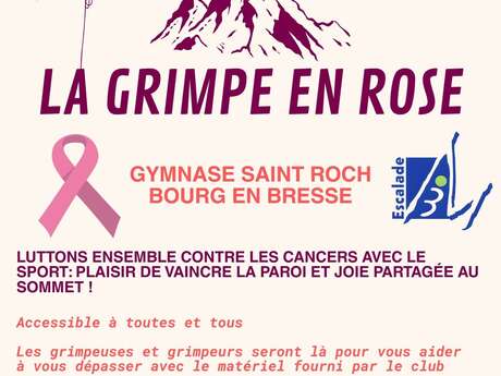 La grimpe en Rose