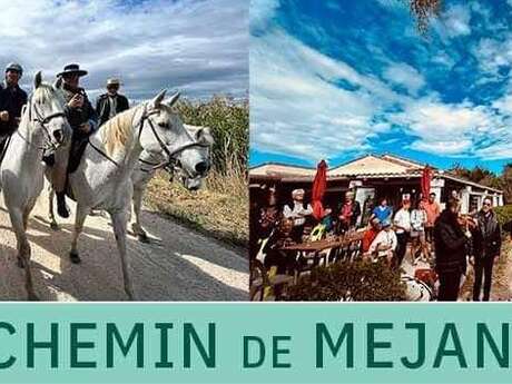Le chemin de Méjanes le long du Vaccarès