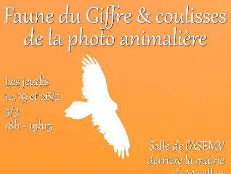 Faune du Giffre & coulisses de la photo animalière