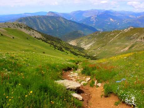 The summit of Teillon