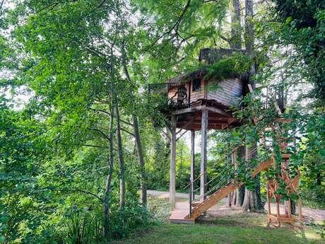 Les Écureuils tree house - DDLD