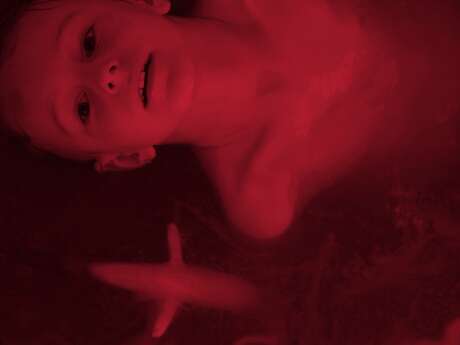 LUMA Arles / In the Veins