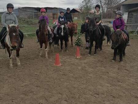 Centre équestre l'écrin de liberté