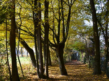 Sentier Vegetti (Yvoire à Nernier)