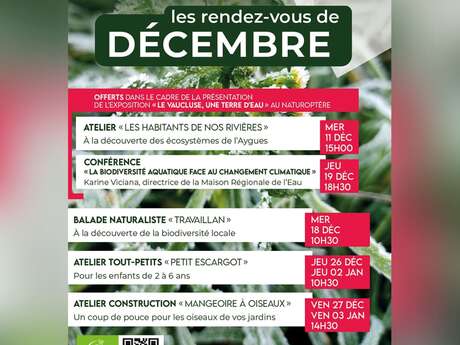 Atelier construction "Mangeoire à oiseaux" au Naturoptère Du 27/12/2024 au 3/1/2025