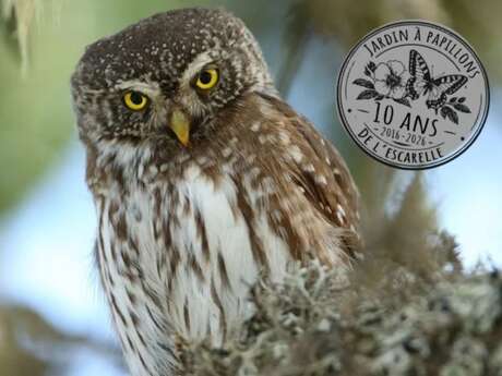 La nature fait son show