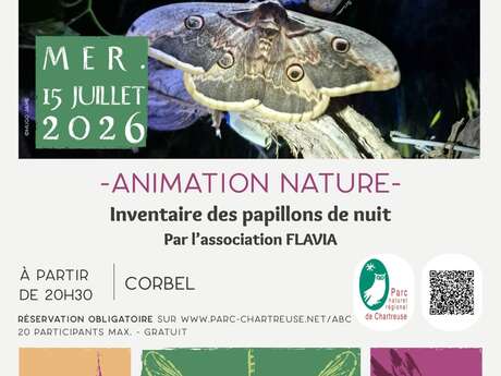 Inventaire des papillons de nuit